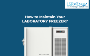 How to Maintain your Laboratory Freezer?